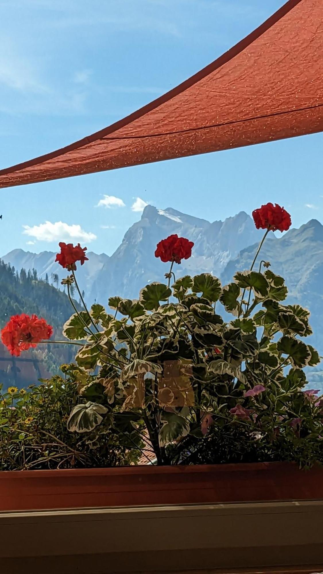 Hotel Ca' Del Bosco เซลวา ดิ กาโดเร ภายนอก รูปภาพ